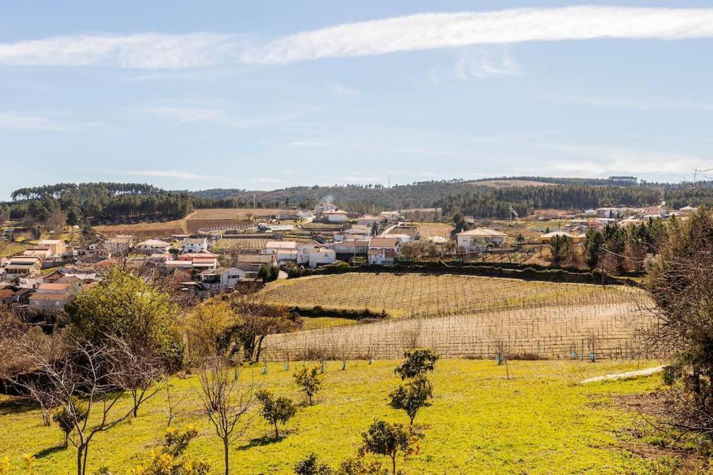 Quinta Da Eira Douro Valley Fermentoes  Exterior foto