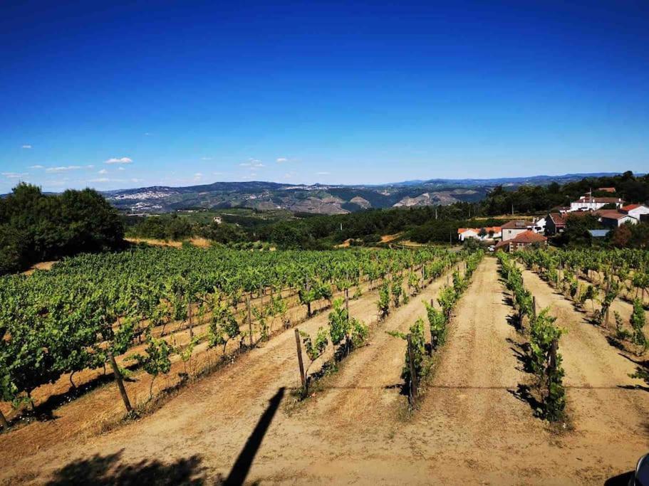 Quinta Da Eira Douro Valley Fermentoes  Exterior foto